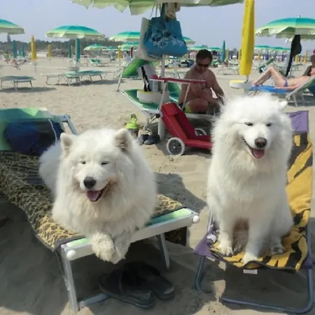 Alba 4 Pers. Resort Lido di Spina